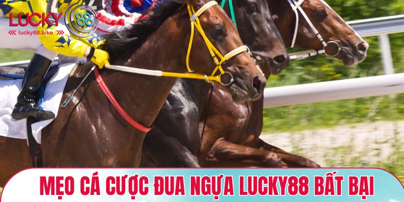 Mẹo cá cược đua ngựa Lucky88 bất bại