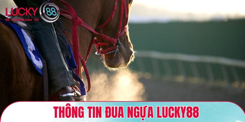 Thông tin đua ngựa Lucky88